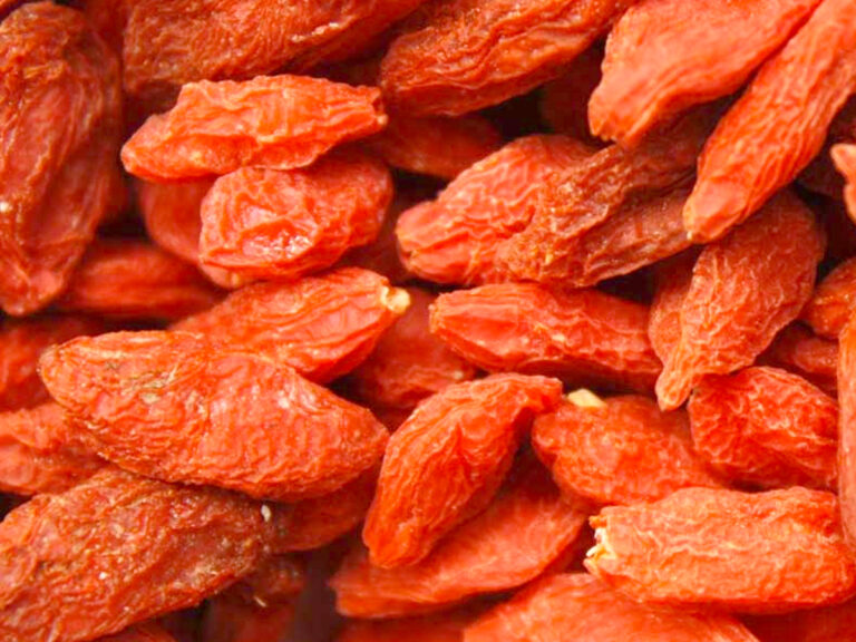 bacche di goji