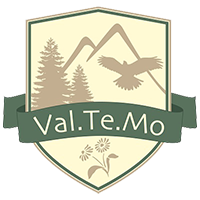valtemo